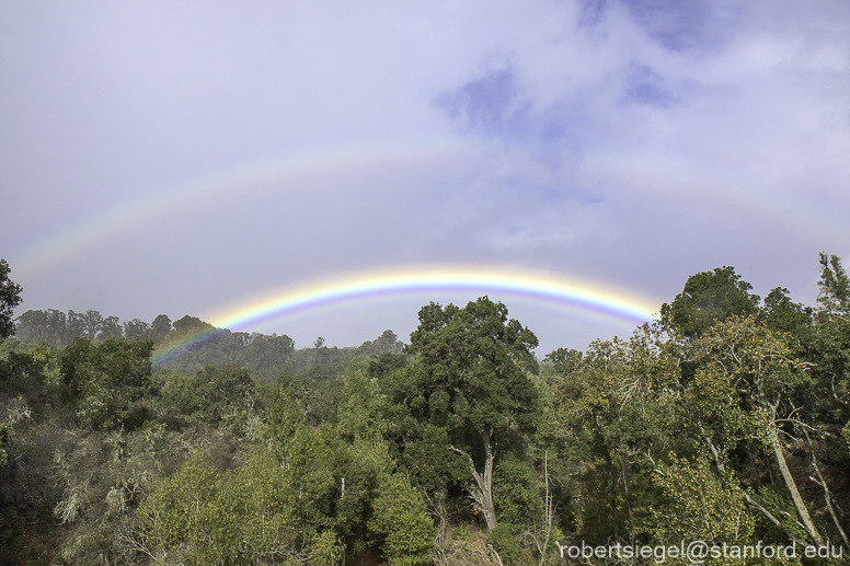 Stanford Homecoming 2023